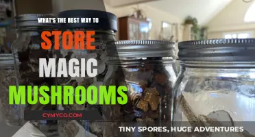 Optimal Storage Methods for Magic Mushrooms: A Comprehensive Guide