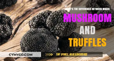 Exploring the Mystical Realm: Magic Mushrooms vs. Truffles Unveiled