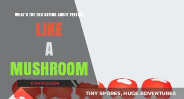 Unveiling the Mystery: The Surprising Origins of 'Feeling Like a Mushroom