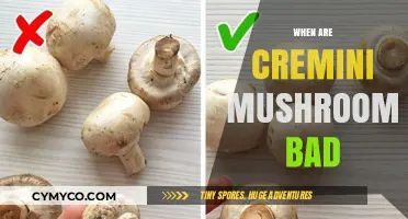 Decoding Cremini Mushrooms: Signs They've Gone Bad