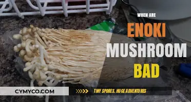 Identifying Spoilage: When Enoki Mushrooms Go Bad