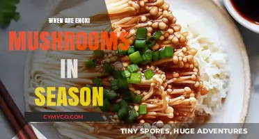 Savoring the Season: When Are Enoki Mushrooms at Their Peak?