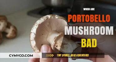 Decoding Portobello Mushrooms: Signs of Spoilage and Safe Consumption Tips