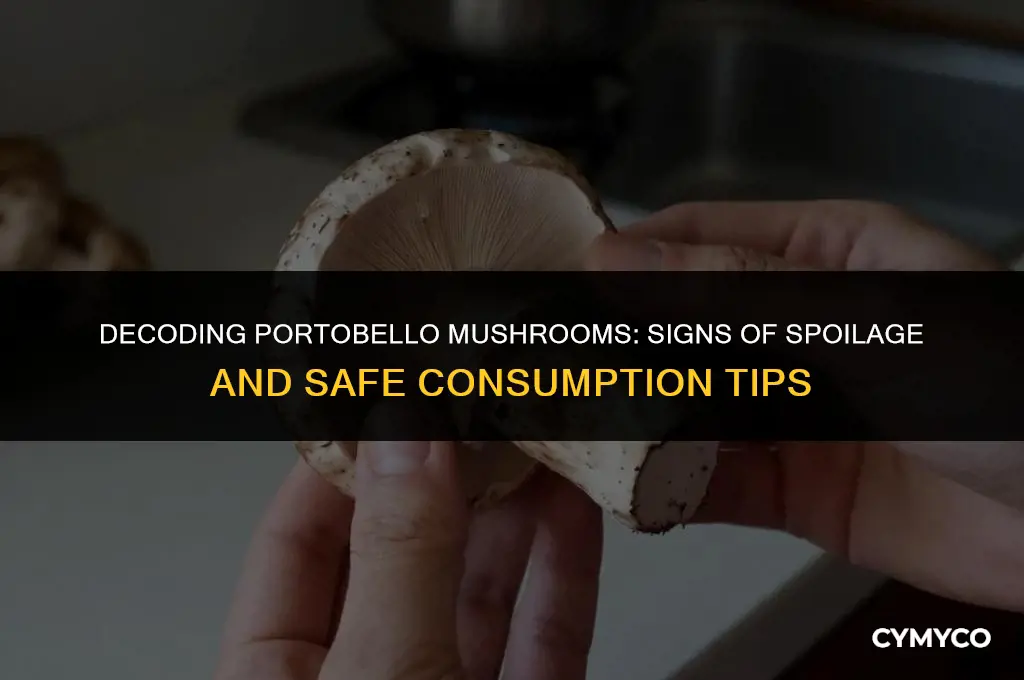 when are portobello mushrooms bad