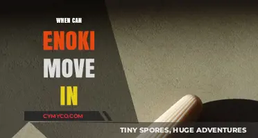 Enoki's Big Move: Timing and Tips for a Smooth Transition