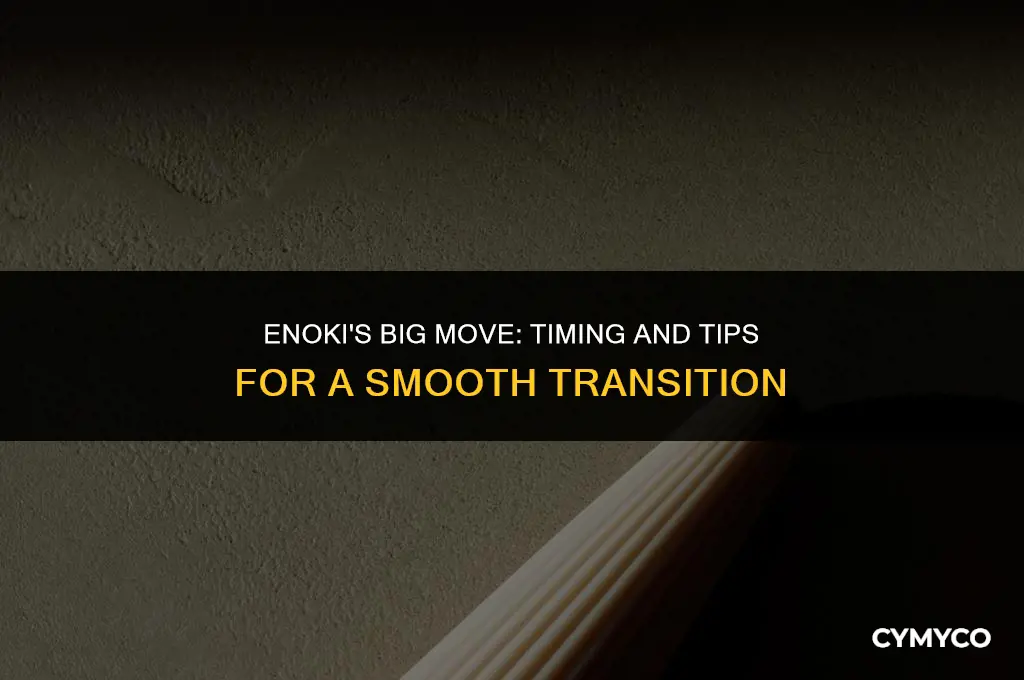 when can enoki move in