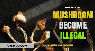 Exploring the History: When Did Magic Mushrooms Become Illegal?