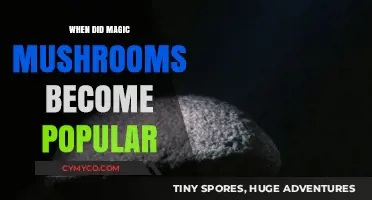 Exploring the Rise of Magic Mushrooms: A Historical Perspective