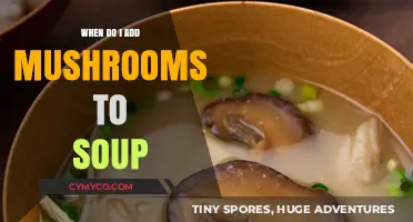 Perfect Timing: When to Add Mushrooms to Your Soup for Optimal Flavor