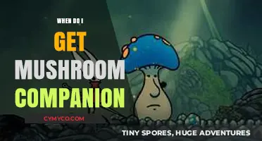 Unlocking the Secrets: When Do I Get My Mushroom Companion?