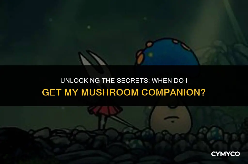when do i get mushroom companion