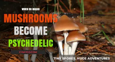 Exploring the Psychedelic Threshold of Magic Mushrooms