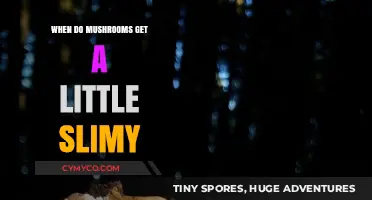 Exploring the Slimy Side: When Mushrooms Lose Their Firmness