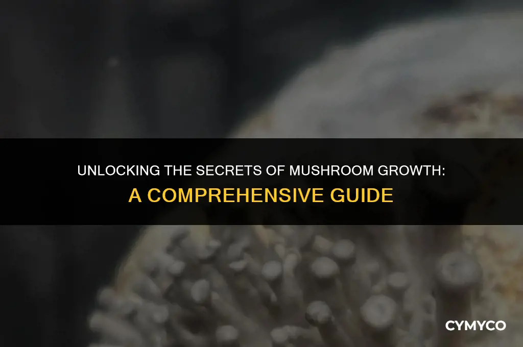 when do mushrooms grow