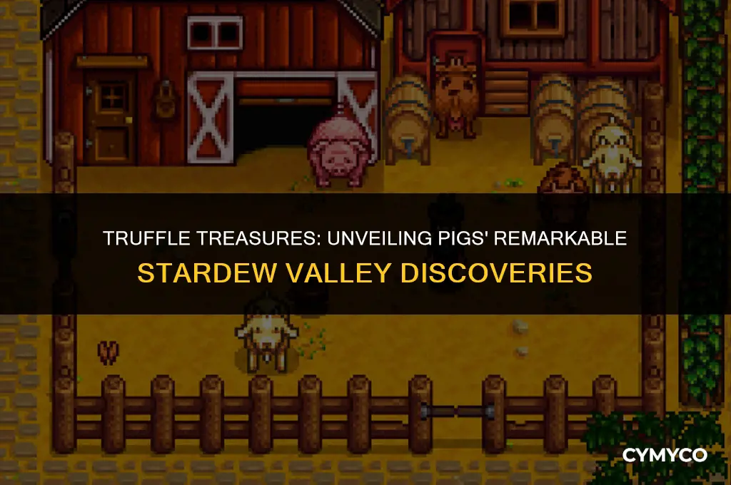 when do pigs find truffles stardew