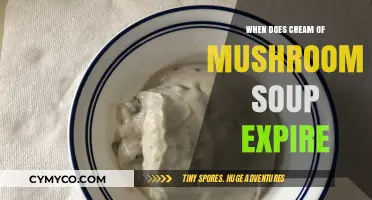 Deciphering the Shelf Life: Cream of Mushroom Soup Expiration Guide