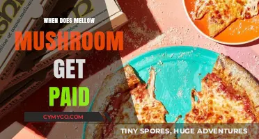 Understanding Mellow Mushroom's Payment Schedule: A Comprehensive Guide