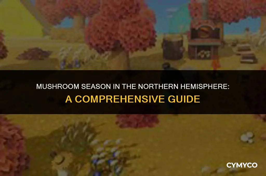 when does northern hemisphere get mushrooms