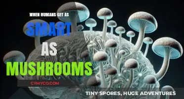 When Humans Get as Smart as Mushrooms: A Mycological Odyssey