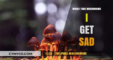 Exploring the Emotional Depths: My Journey with Mushrooms and Melancholy