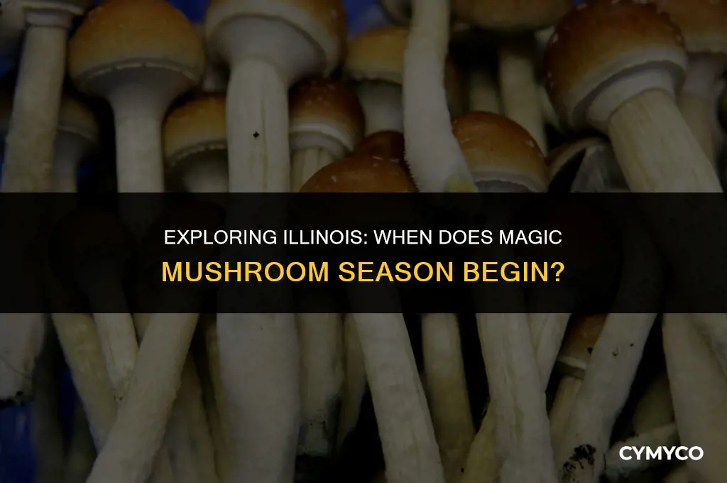 when is magic mushroom season in illinois
