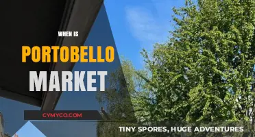 Discover Portobello Market's Opening Days and Best Times to Visit