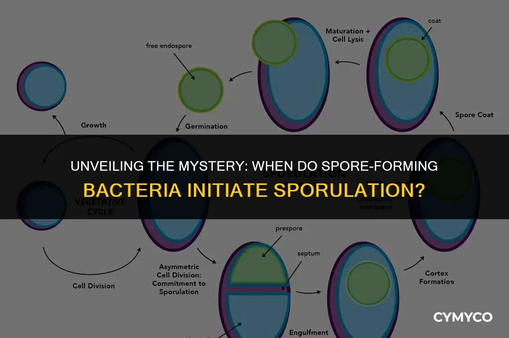 when is sporulation initiated by spore forming bacteria