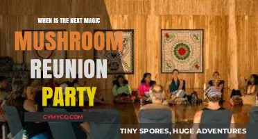 Enchanted Evening: The Upcoming Magic Mushroom Reunion Party