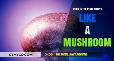 Exploring Unique Penis Shapes: The Mushroom Form