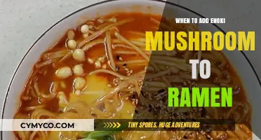 Perfect Timing: When to Add Enoki Mushrooms to Ramen for Optimal Flavor