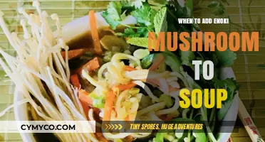 Perfect Timing: When to Add Enoki Mushrooms to Your Soup