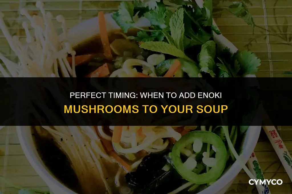 when to add enoki mushrooms to soup