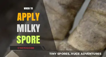 Optimal Timing for Milky Spore Application: A Comprehensive Guide