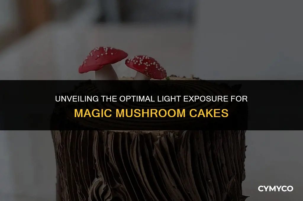 when to expose magic mushroom cake to light