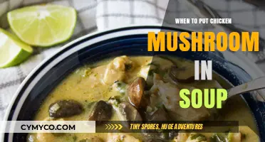 Savor the Flavor: Optimal Timing for Chicken Mushrooms in Soup