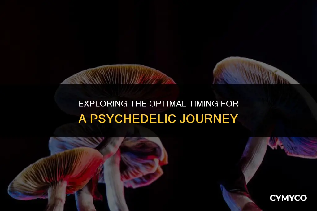 when to take magic mushrooms