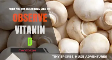 Unlocking Nature's Power: Vitamin D in Mushrooms Unveiled