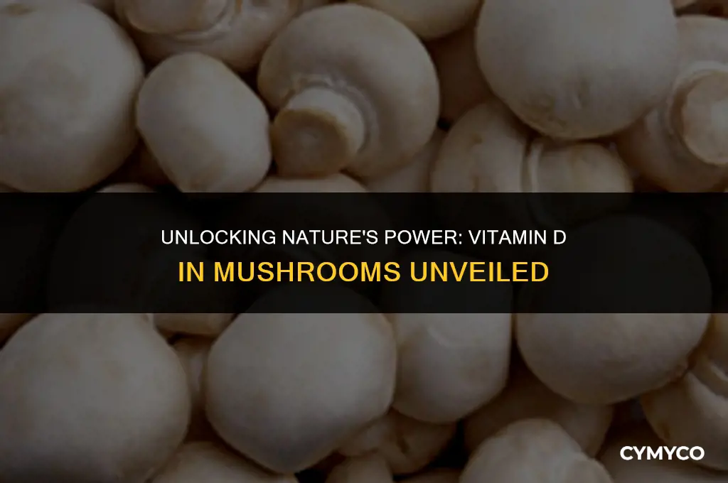 when you buy mushrooms still the observe vitanin d