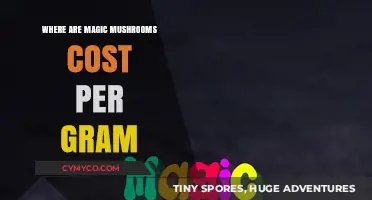 Exploring the Price of Magic Mushrooms: Cost Per Gram Guide