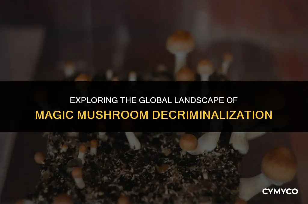 where are magic mushrooms decriminalized