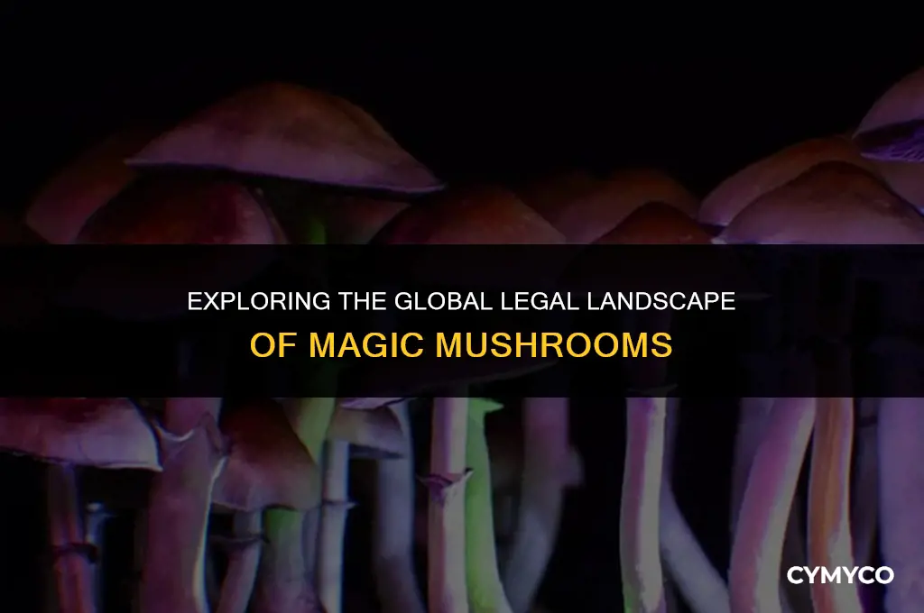where are magic mushrooms lega