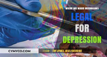 Exploring Legal Psychedelic Therapy: Magic Mushrooms for Depression