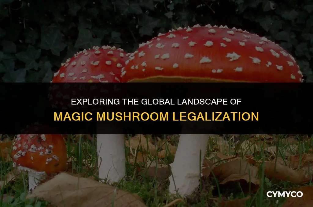 where are magic mushrooms legal for recreational use