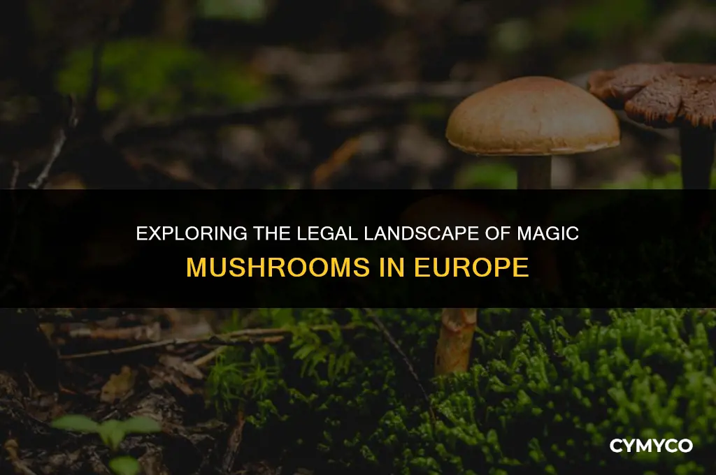 where are magic mushrooms legal in europe