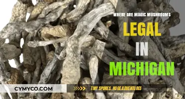 Exploring the Legal Landscape of Magic Mushrooms in Michigan