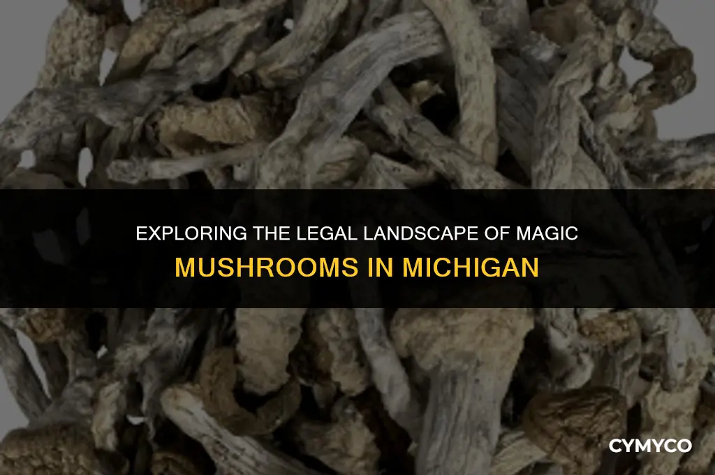 where are magic mushrooms legal in michigan