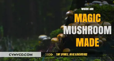 Exploring the Origins: Where Magic Mushrooms Grow Naturally