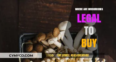 Exploring the Global Landscape of Legal Mushroom Purchases