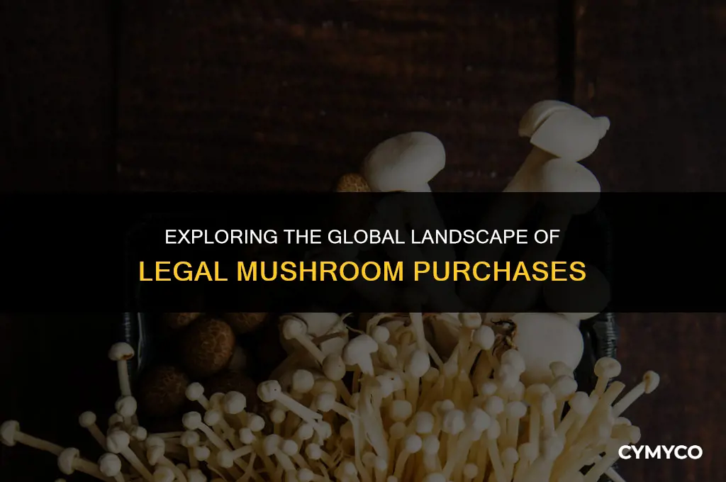 where are mushrooms legal to buy