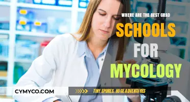 Exploring the Top Graduate Programs for Mycology Studies